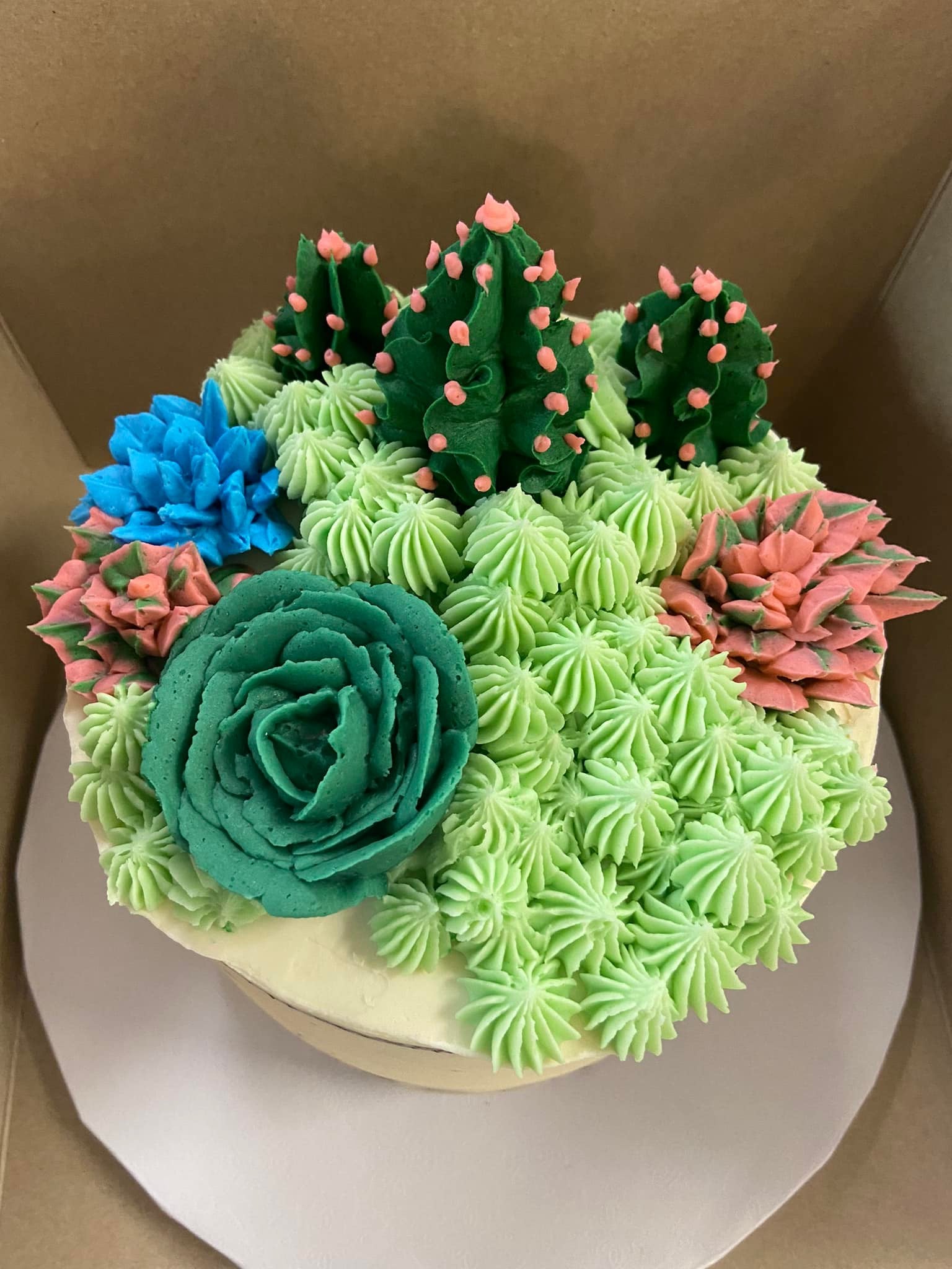 Succulent Cakes | POPSUGAR Food