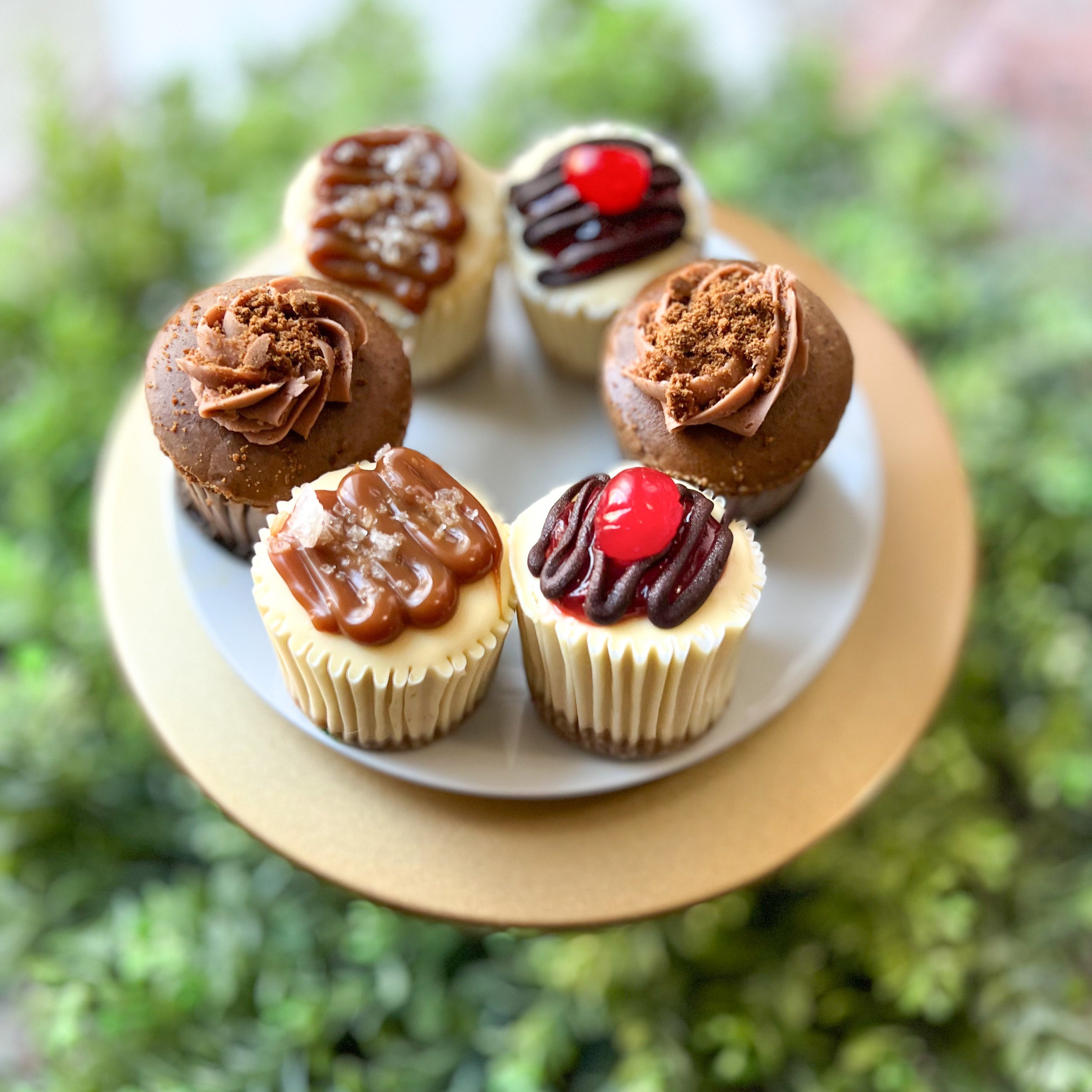 Mix and Match Cheesecakes Holiday Christmas Cupcake Junkie